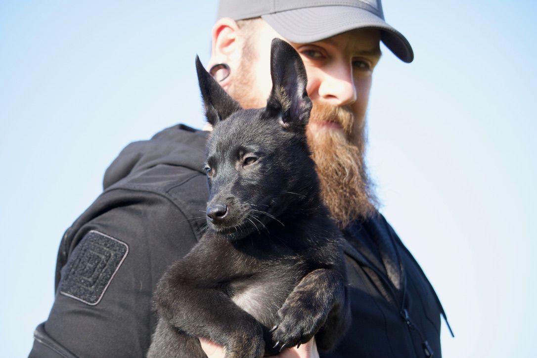 Brian carrying a puppy on his shoulder