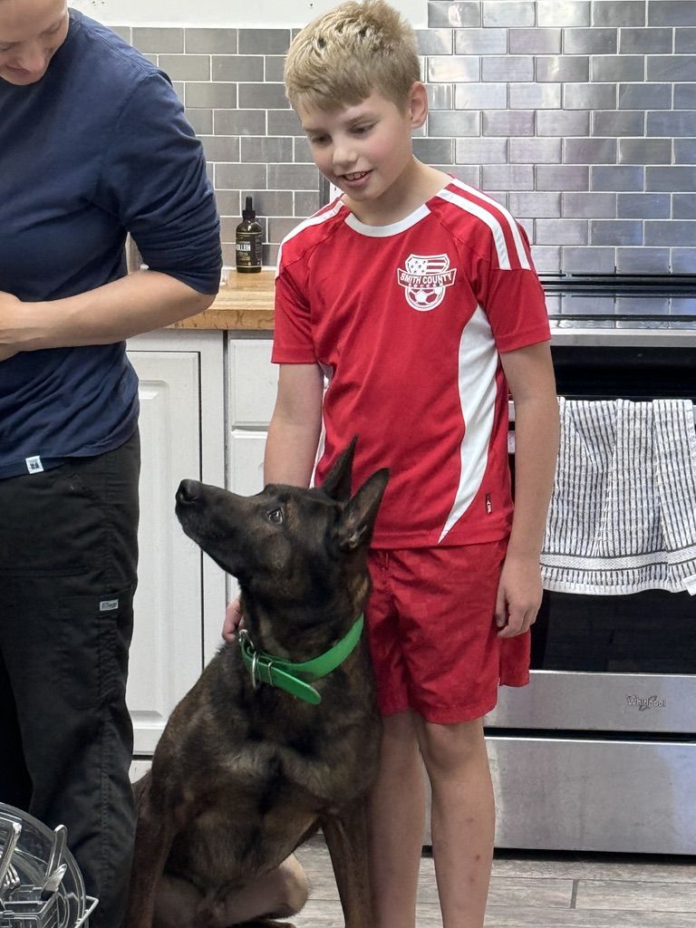 Kid standing proudly with a trained malinois